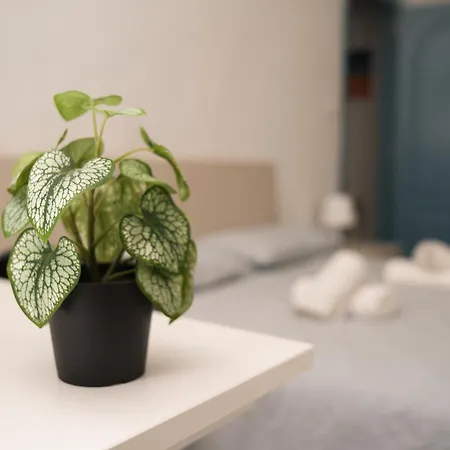 Apartamento Camyhouse