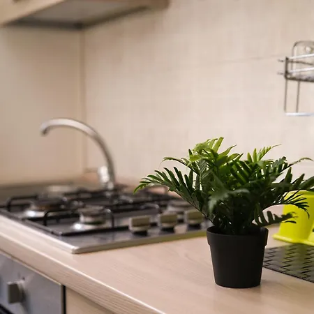 Apartamento Camyhouse Turim